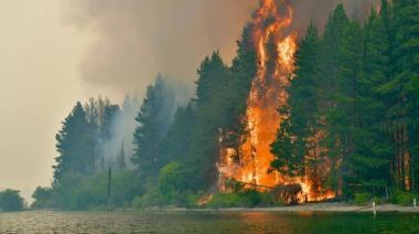 Incendios en Chubut: para hoy se esperan lluvias, pero se mantiene la alerta por "catástrofe ígnea"