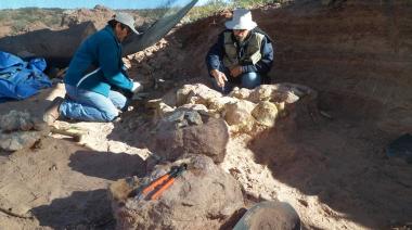 Descubren al Yeneen houssayi en Neuquén: una nueva especie de dinosaurio titanosaurio de 83 millones de años