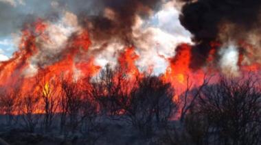 Incendios en La Pampa: “Ahora se debe asistir al productor pero falta planificar en invierno”