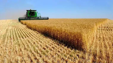 La BCBA sube su estimación y la cosecha de trigo pulveriza (otra vez) todos los récords