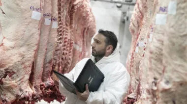 La faena de bovinos cayó 2,5% en 2025 pero dejó algunas señales positivas