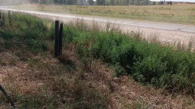 “Para nada fue un robo”: la grave denuncia de un productor tambero que votó contra la suba de tasas