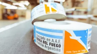 Por qué Milei dio un alivio a las industrias de Tierra del Fuego: la resolución completa