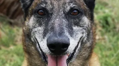 La historia de “Feo”, el perro comando que unió a Milei y Arietto en un reclamo a Kicillof