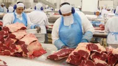 Brasil rompe todos los récords en exportaciones de carne vacuna