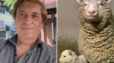 Milei ratificó a Salamone en el CONICET: Dolly, caballos clonados y su límite en humanos