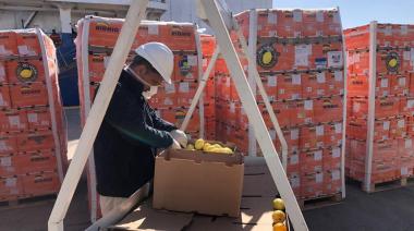 Unión Europea–Mercosur: qué gana el agro argentino y qué dudas plantea el acuerdo