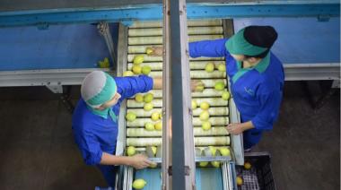 Las exportaciones agroindustriales crecieron un 12% y generaron divisas por USD 52.337 millones