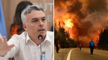 "Deje los shows": el pedido de Paulón a Milei por la emergencia ígnea
