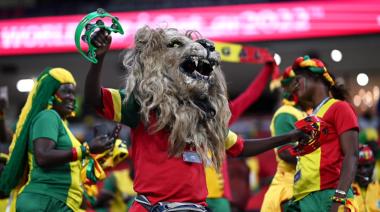 Leones, águilas y faraones, los apodos de las selecciones que pisan fuerte en Africa