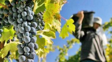 Gremios niegan una crisis en la industria del vino y denuncian maniobras para ensuciar paritarias