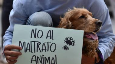 Convocan al Obelisco contra el maltrato animal: exigen justicia por una red de crueldad en Ezeiza