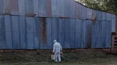 Más casos y muertes por hantavirus en zonas rurales de Buenos Aires: El peor registro en 5 años
