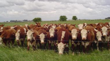 La hacienda logró ganar la batalla contra la inflación, mientras granos y leche quedaron rezagados