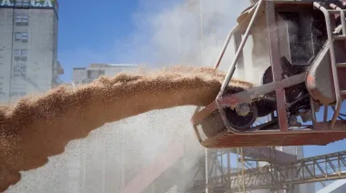 Soja y girasol, con récord de molienda y exportaciones en cifras históricas