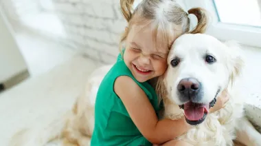 Dueños y mascotas en la misma tumba: qué permite ahora São Paulo y por qué genera ruido