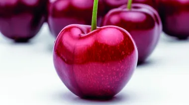 Cereza chilena en China: cómo la sobreoferta y el Año Nuevo lunar golpean al sector