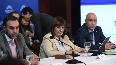 "No van a alcanzar los helicópteros": el duro cruce de Bullrich en el Senado por el 2001