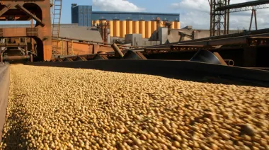 COFCO International cerró el primer envío argentino de harina de soja certificada a Vietnam