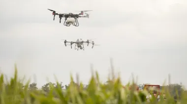 Provincia de Buenos Aires incorpora pilotos de drones como aplicadores fitosanitarios: ¿qué exige?