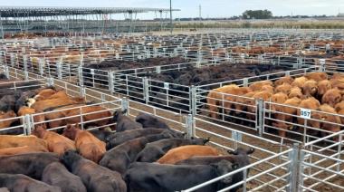 La hacienda de consumo llegó a $5.500 y anticipan más subas en marzo para la carne