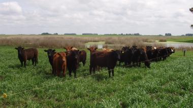 La semana del agro, entre la hacienda imparable en Cañuelas y el ajuste al INTA