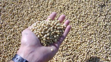 China aceleró compras y marcó un récord de 112 millones de toneladas de soja