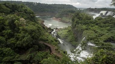 Conocé cuáles son los diez proyectos de certificación de carbono que revolucionan el agro argentino