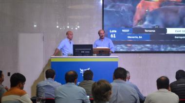 Histórico: los terneros superaron la barrera de los cuatro dólares por kilo