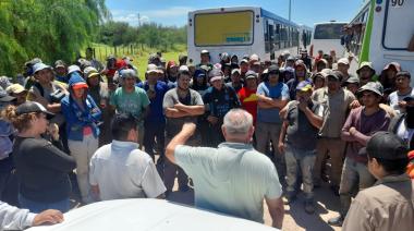 Por falta de acuerdo salarial, está en riesgo la cosecha de aceitunas en La Rioja y Catamarca