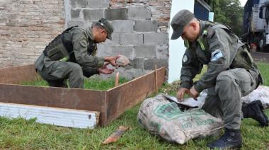 Santa Fe: decomisan 150 tortugas y 100 loros que eran transportados de manera ilegal hacia Buenos Aires