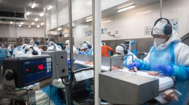 El Gobierno confirmó la reapertura del mercado europeo para las exportaciones aviares