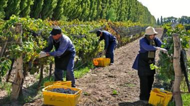 Día del Trabajador Vitivinícola: el motor detrás de la industria que define a la Argentina