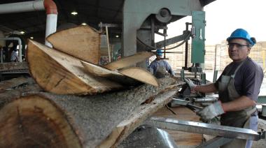 Las exportaciones, claves para sostener un 2025 complejo para la industria forestal