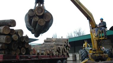 India: el nuevo destino que gana peso en las exportaciones de la industria forestal argentina