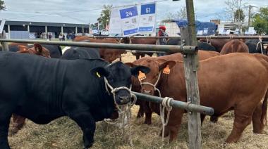 En un escenario de precios récord, ADBlick analiza el nuevo escenario ganadero