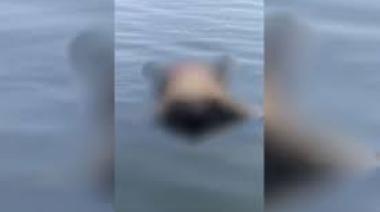 Autopista Buenos Aires-La Plata: un cadáver fue hallado en una laguna