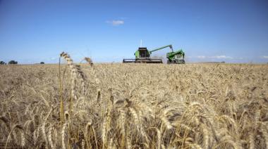 En enero, el trigo y la cebada impulsaron las exportaciones agroindustriales
