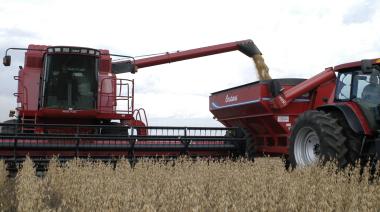 Con un clima que no termina de decidirse, la BCR anticipó una cosecha de soja en 48 millones de toneladas