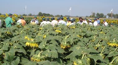 En plena racha exportadora del girasol, ASAGIR presentó su Congreso Anual