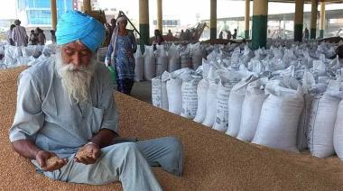 En medio del conflicto con productores, India autorizó exportaciones de trigo por 1,5 millones de toneladas