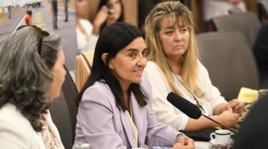 Matar al volante y seguir libre: la historia que marcó el debate en Diputados