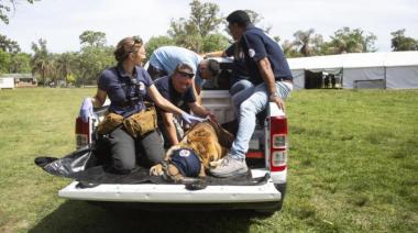 Los osos y la tigresa del ex zoo de luján ya están en Europa