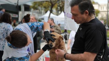 Conocé el programa UBA en Acción en Chacarita: servicios sin cargo