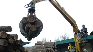 Alemania impulsa una plataforma de cooperación con la industria forestal argentina