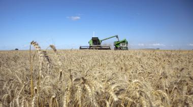 A Todo Trigo 2026: el congreso en Mar del Plata que llega con un récord histórico