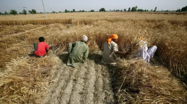 India prevé olas de calor récord y riesgo para el trigo en 2026