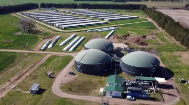 Pacuca Bioenergía: La “usina” porcina que genera electricidad para 5 mil personas con efluentes