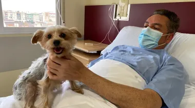 Tu perro en la sala de internación: el ambicioso proyecto que entró al Congreso