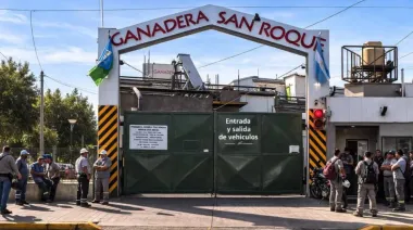 Dictaron la conciliación obligatoria en el frigorífico San Roque de Morón y frenan 150 despidos